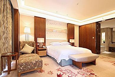 轻松复古风RPG新作《泰拉往事 Terra Memoria》现已登陆PC和主机！